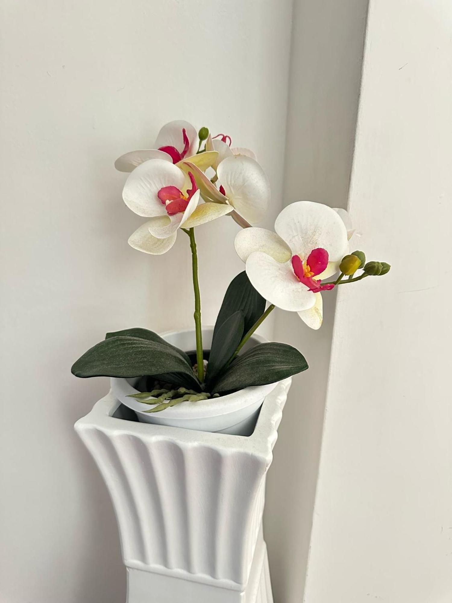 Apartamento Trastevere Rome's Heart Charming & Cozy 3 *