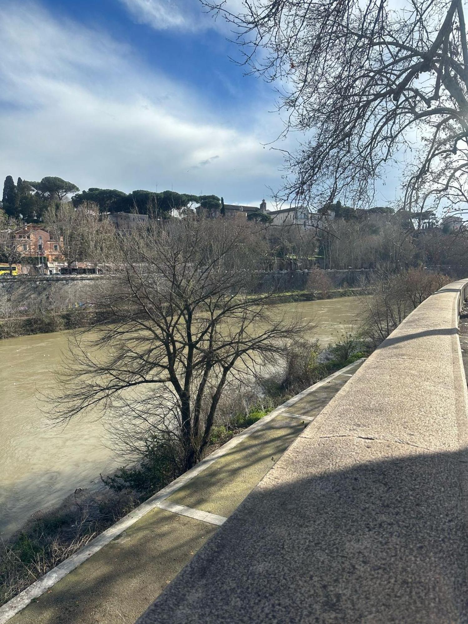 Apartamento Trastevere Rome's Heart Charming & Cozy 3